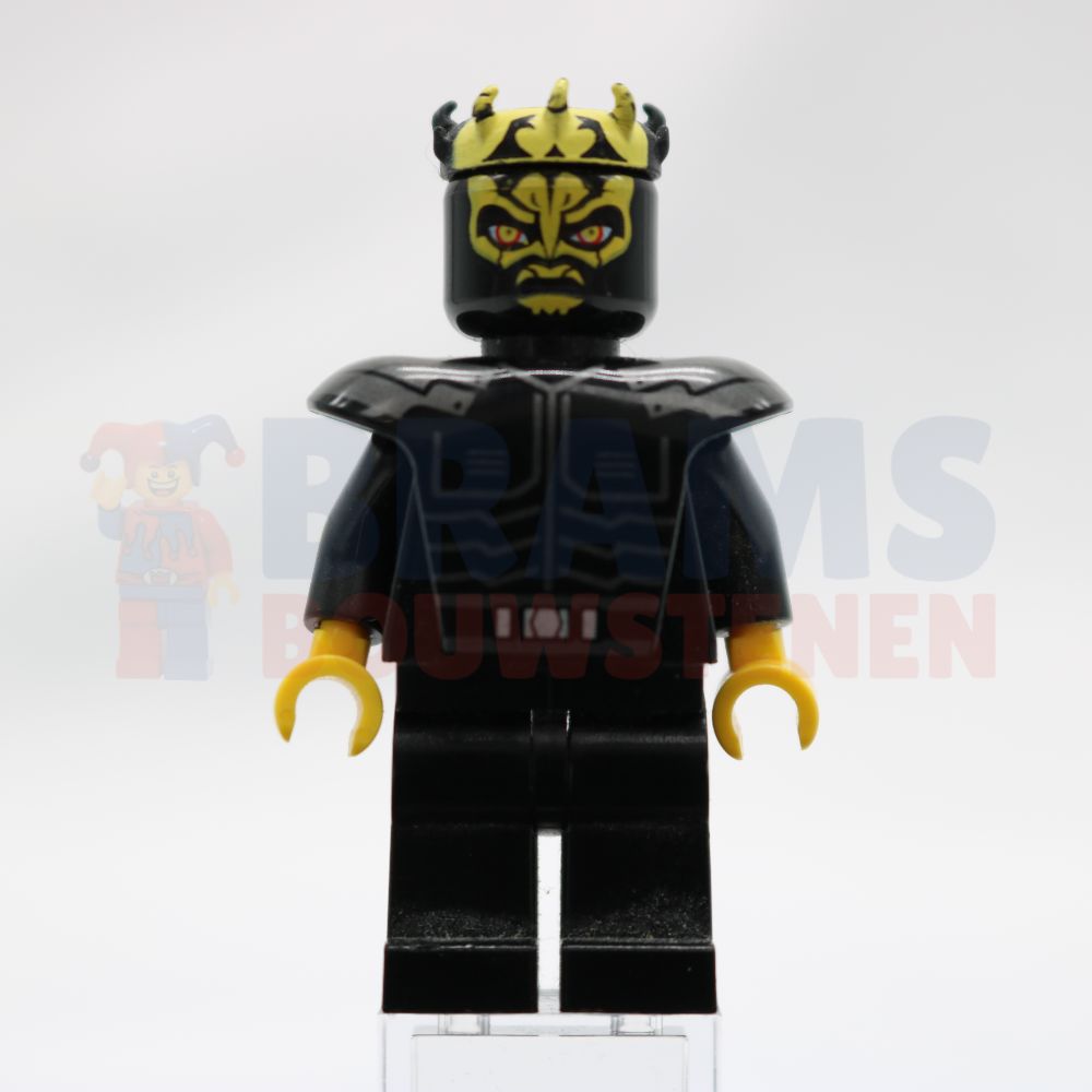 Minifig sw0316