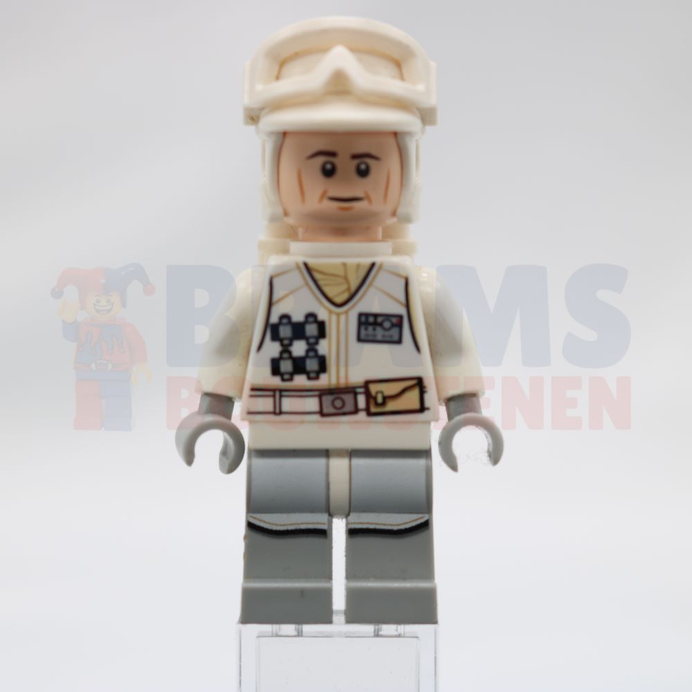 Minifig sw0678