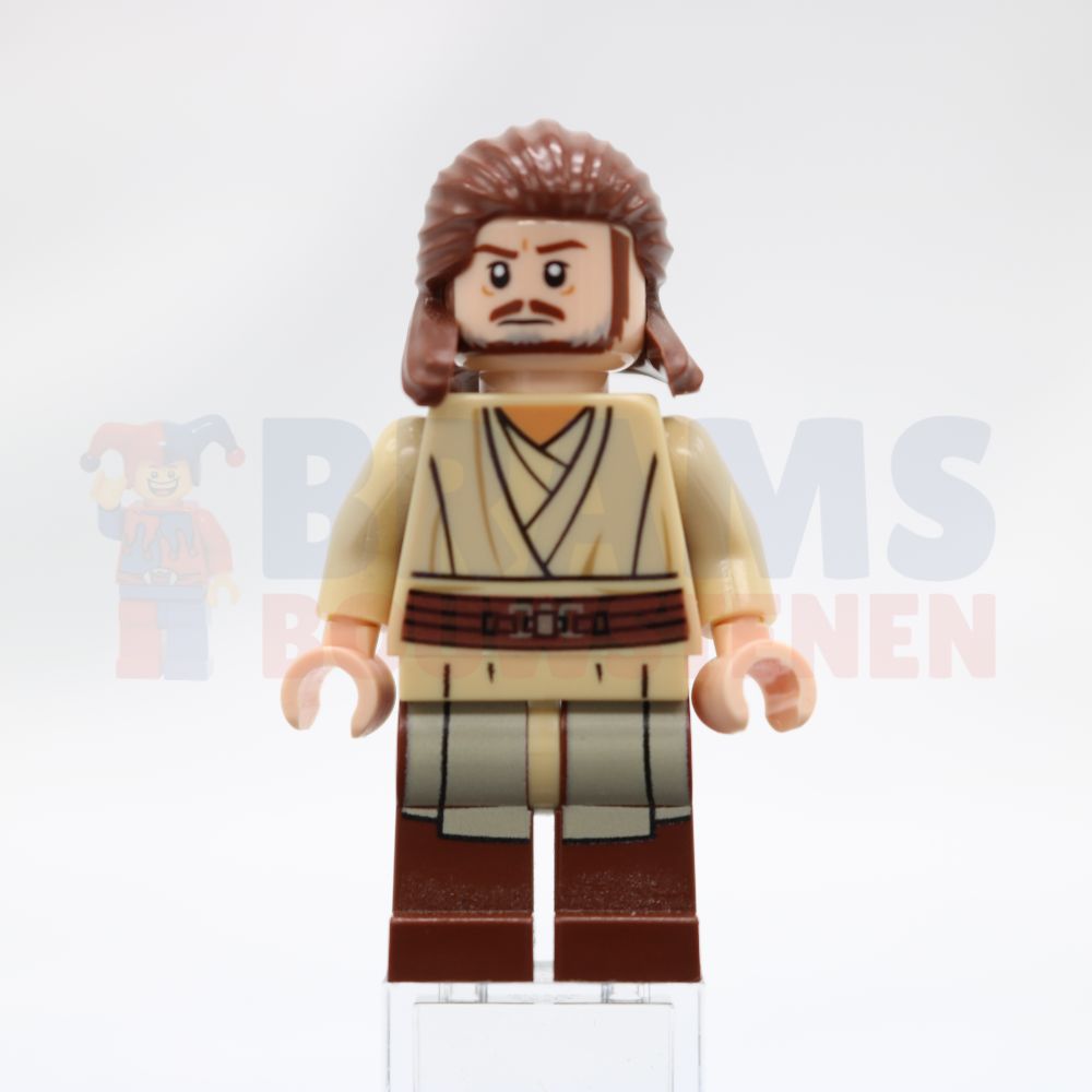 Minifig sw0810