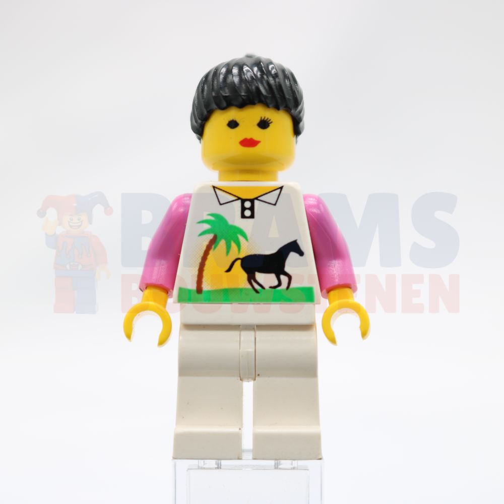 Minifig trn013