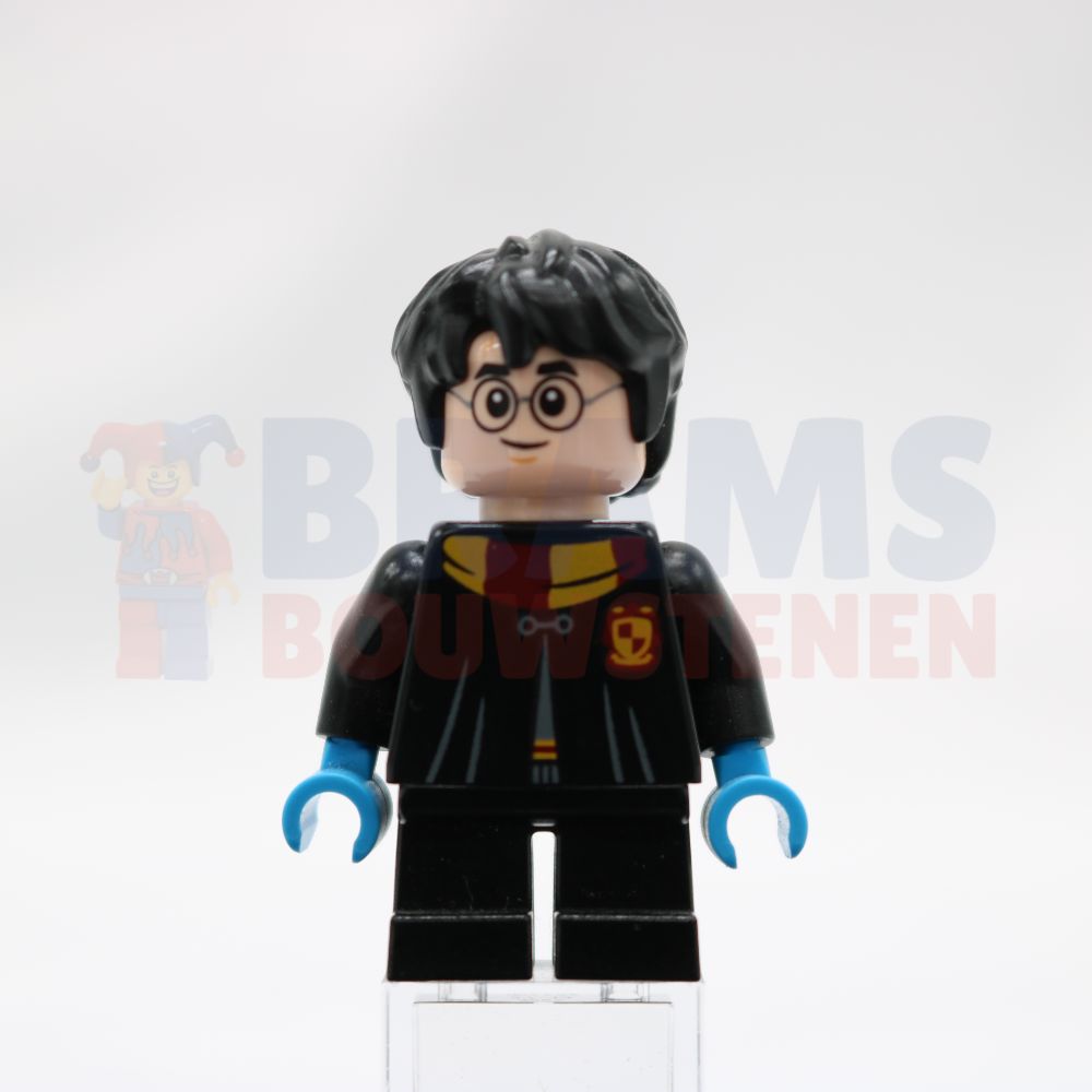 Minifig hp237