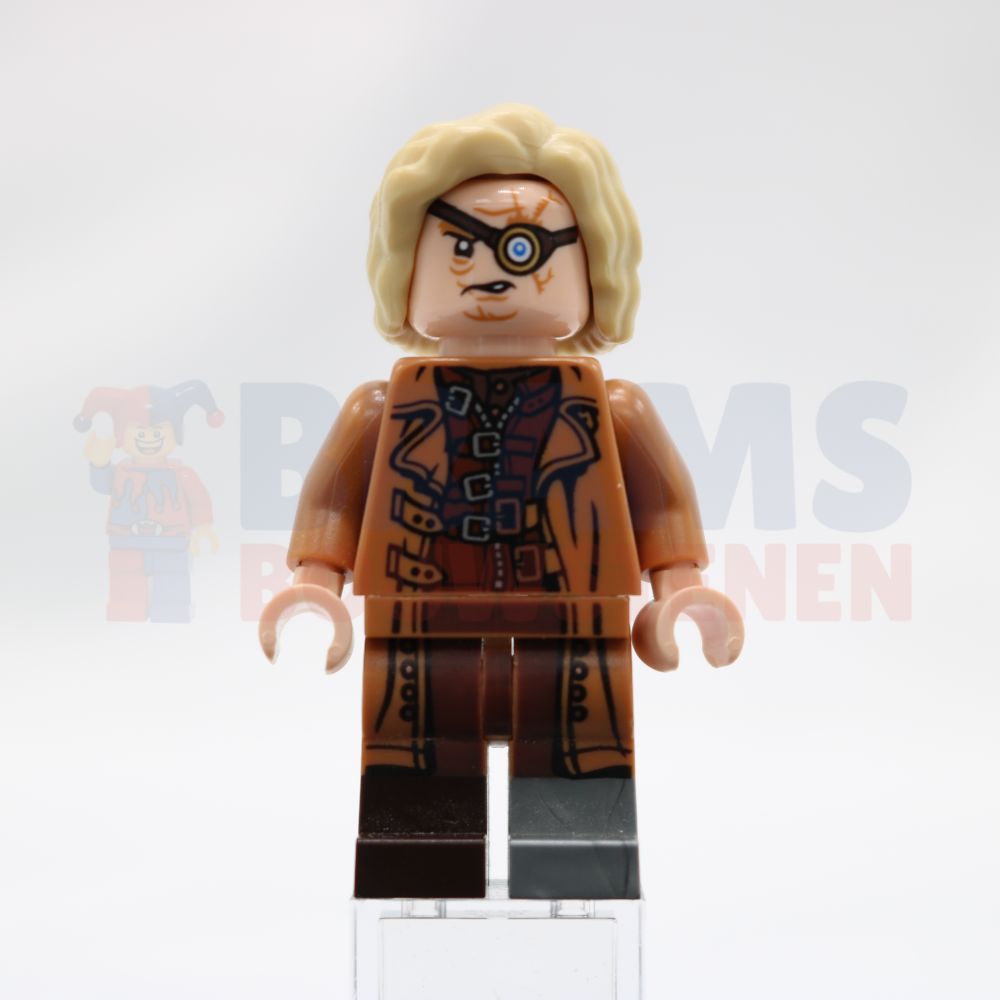 Minifig hp329