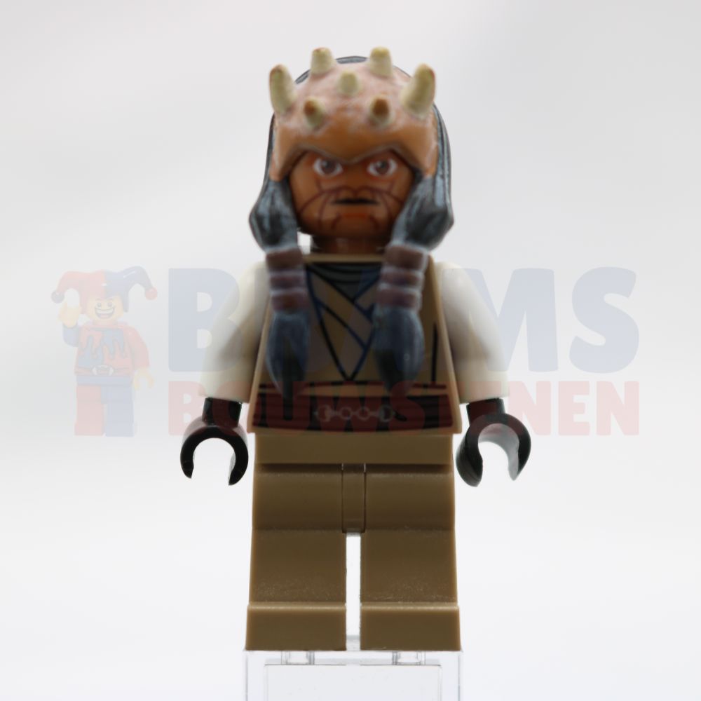 Minifig sw0332