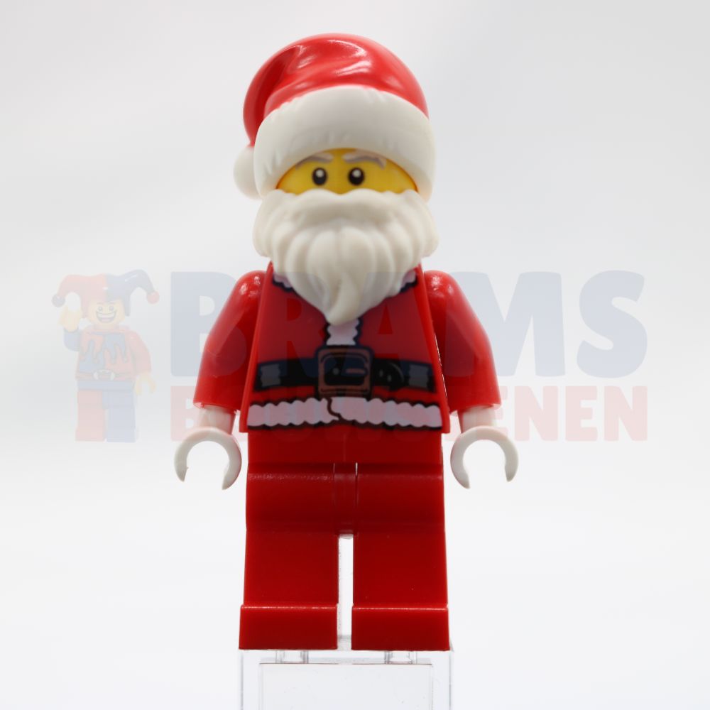 Minifig hol082