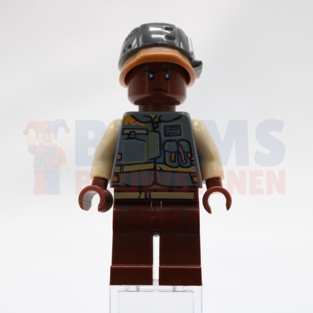 Minifig sw0784