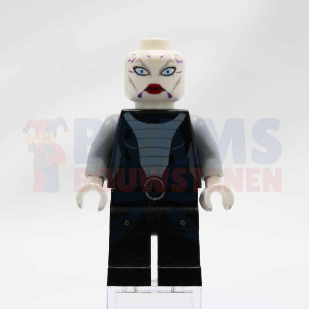 Minifig sw0318