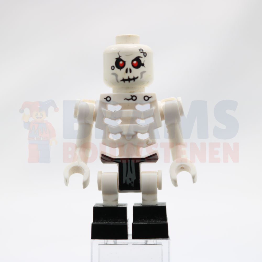 Minifig njo0020