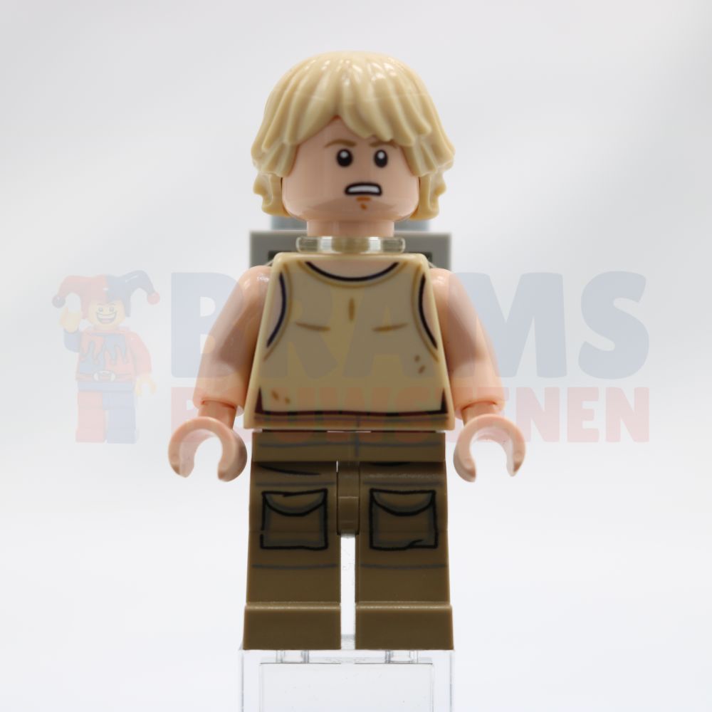Minifig sw0907