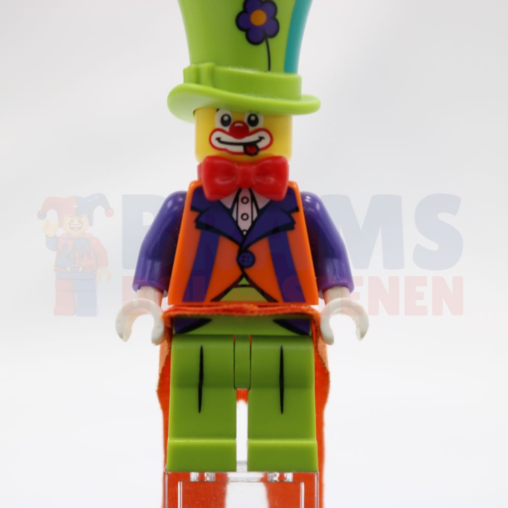 Minifig col315