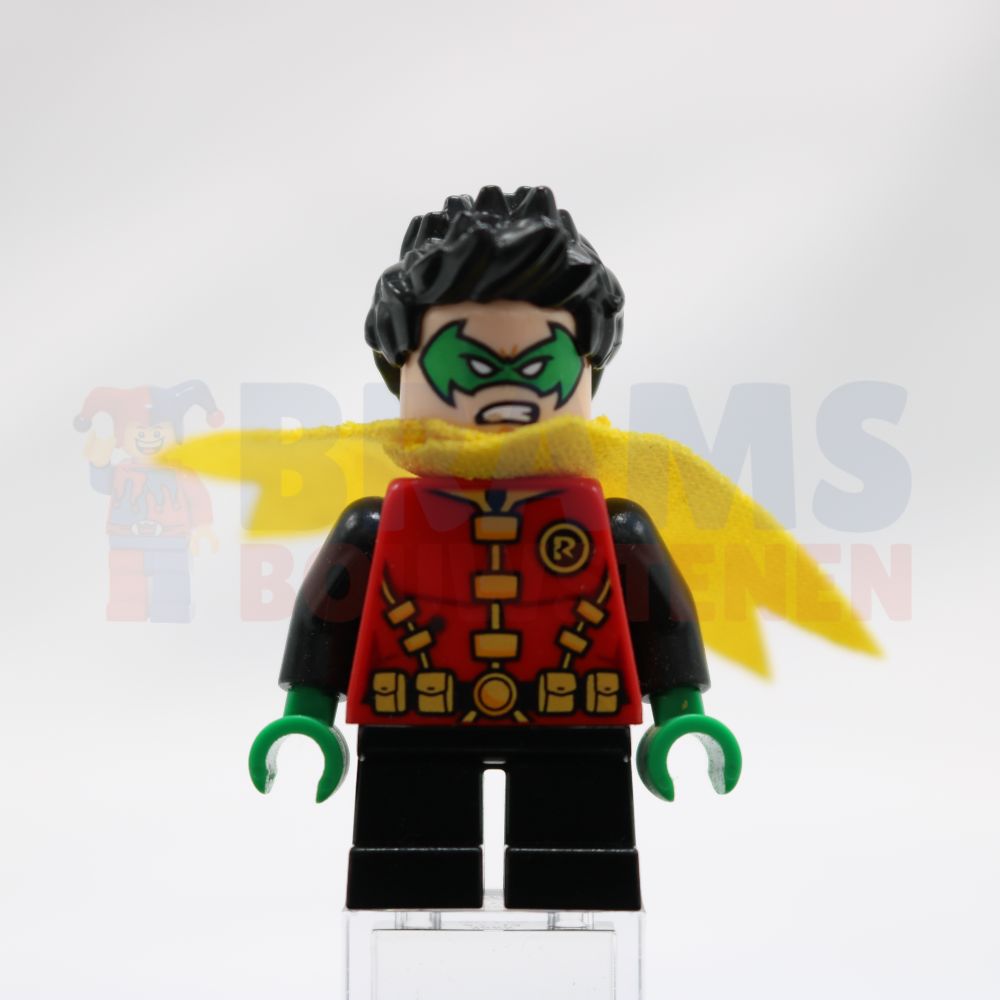 Minifig sh0588