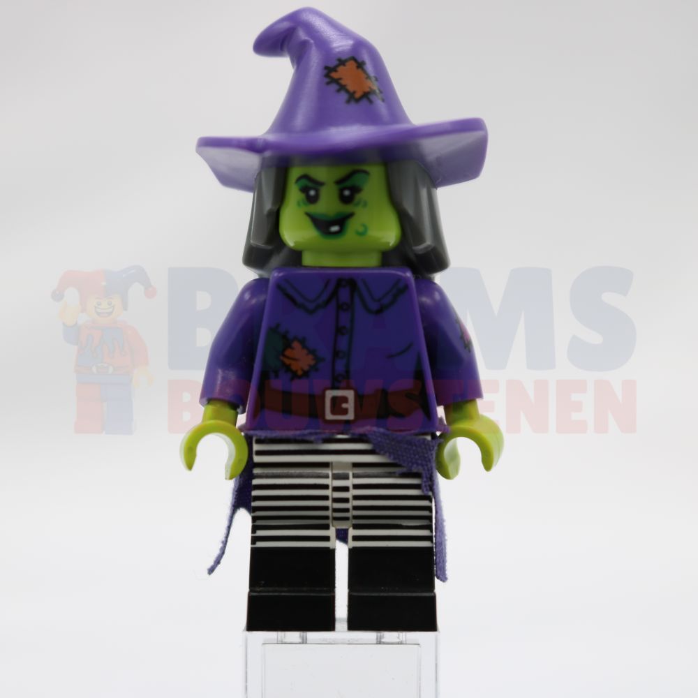 Minifig col214