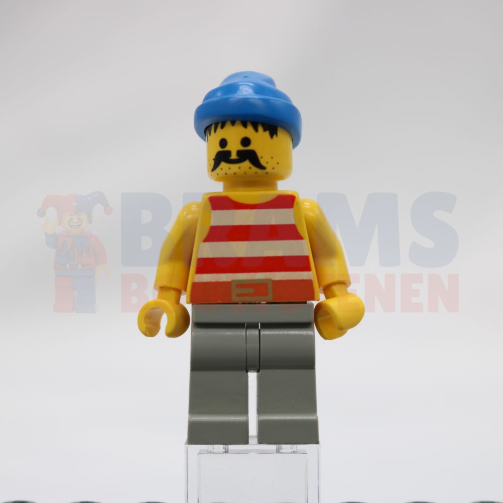 Minifig pi041