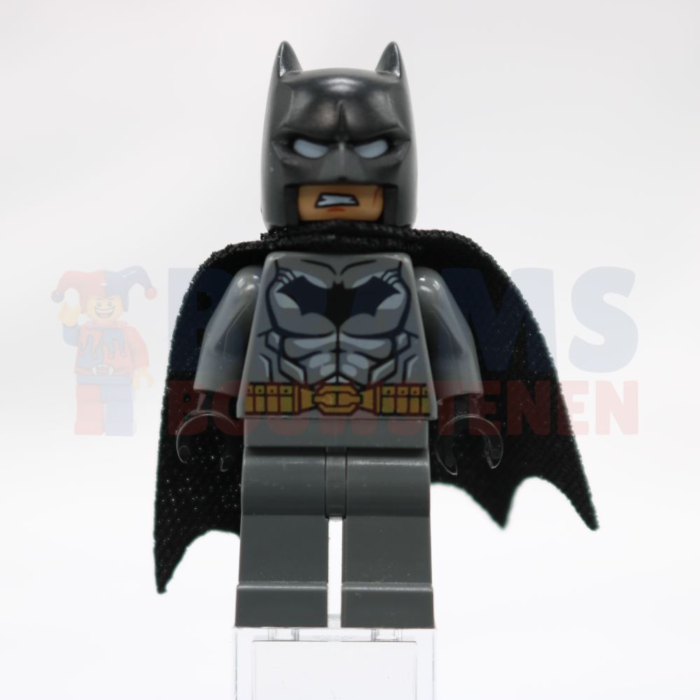 Minifig sh0531