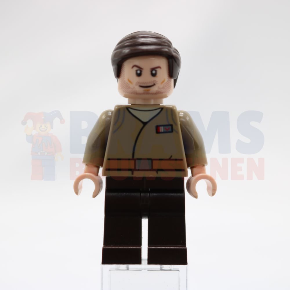 Minifig sw0876