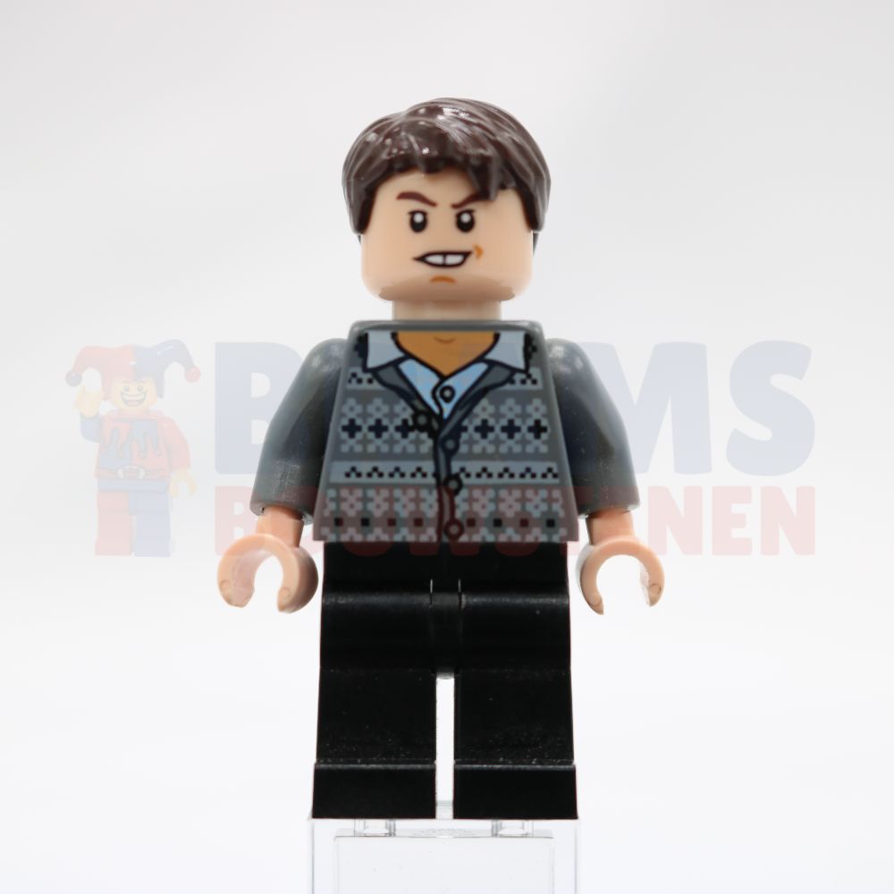 Minifig hp129