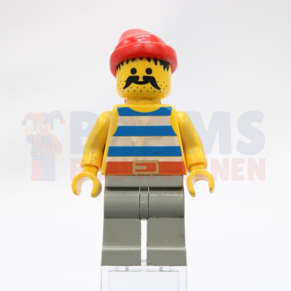 Minifig pi072