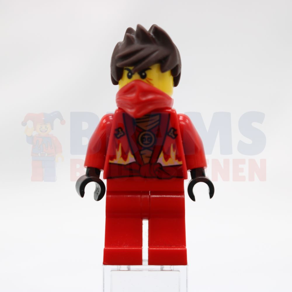 Minifig njo0091