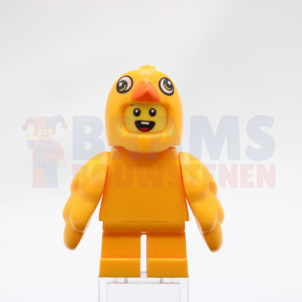 Minifig hol299