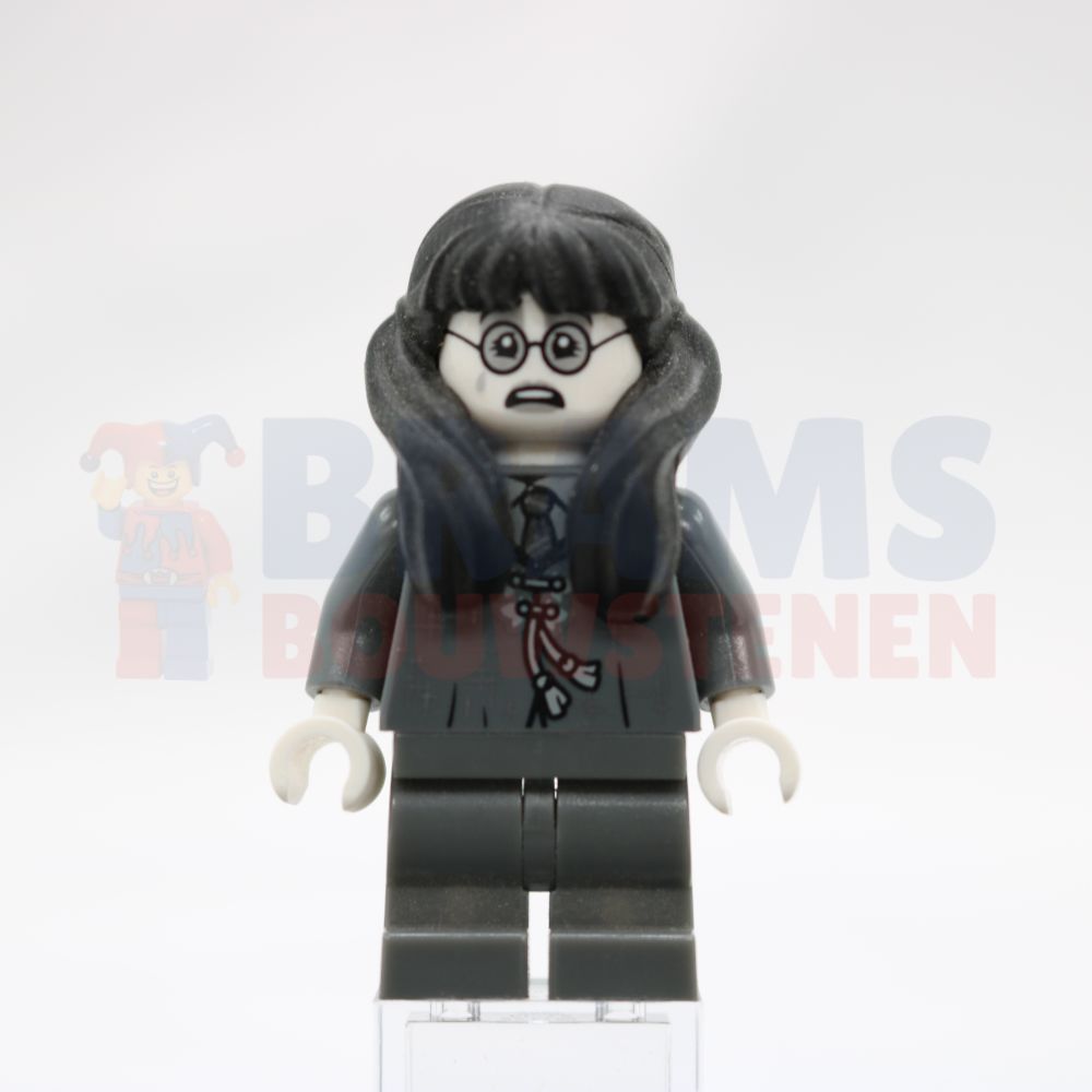Minifig hp372