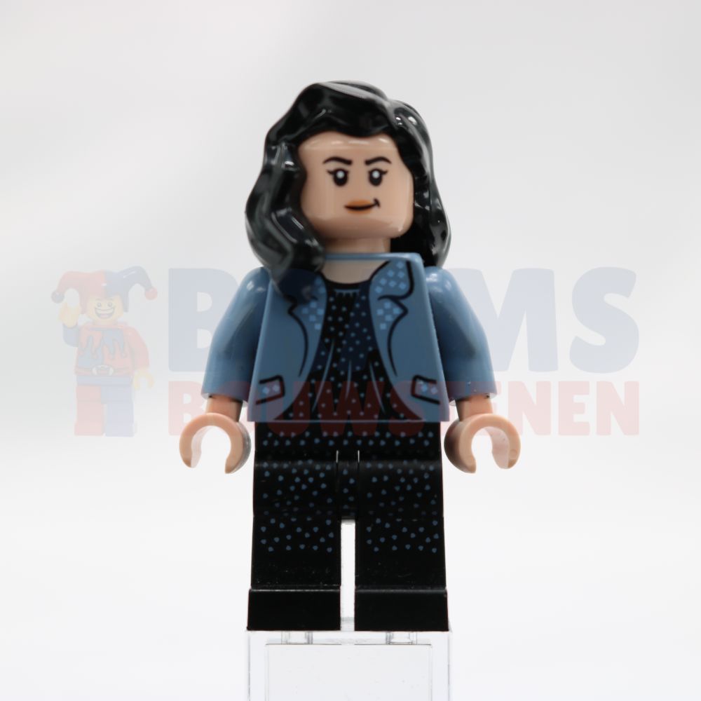 Minifig hp344