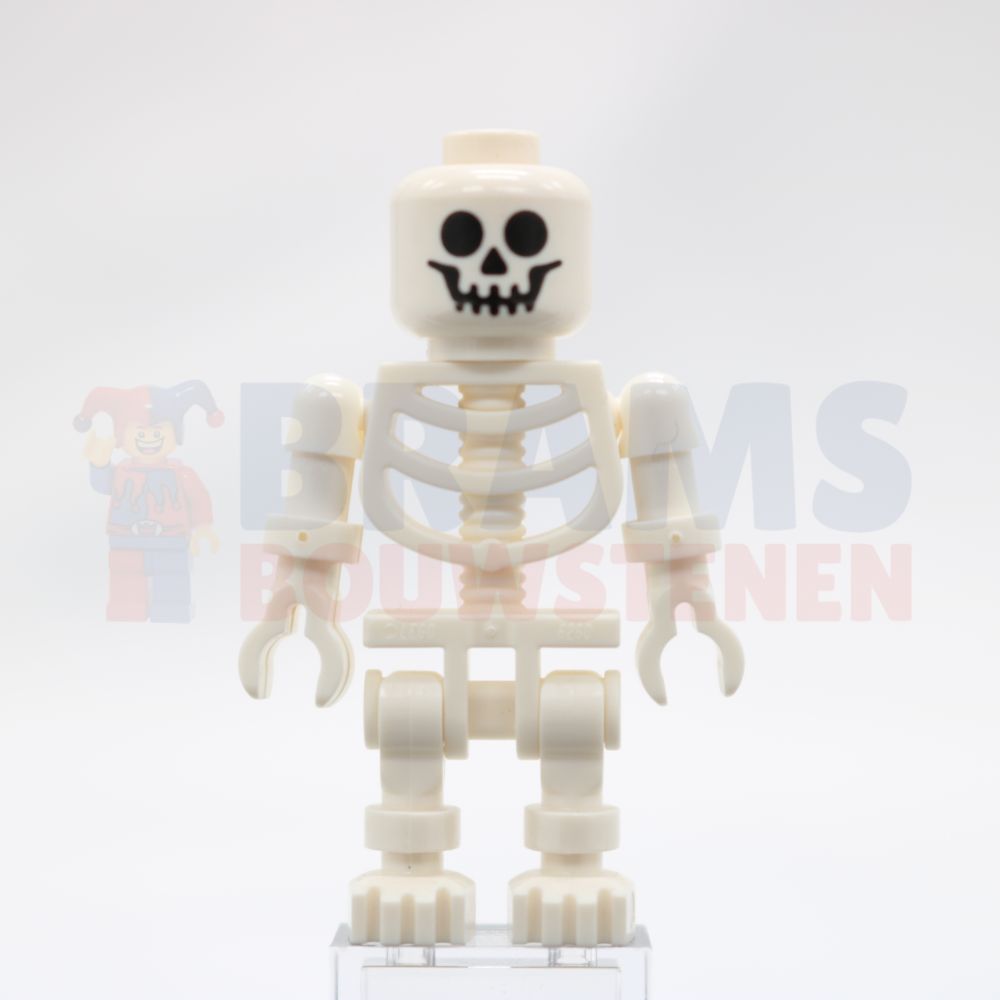 Minifig gen019