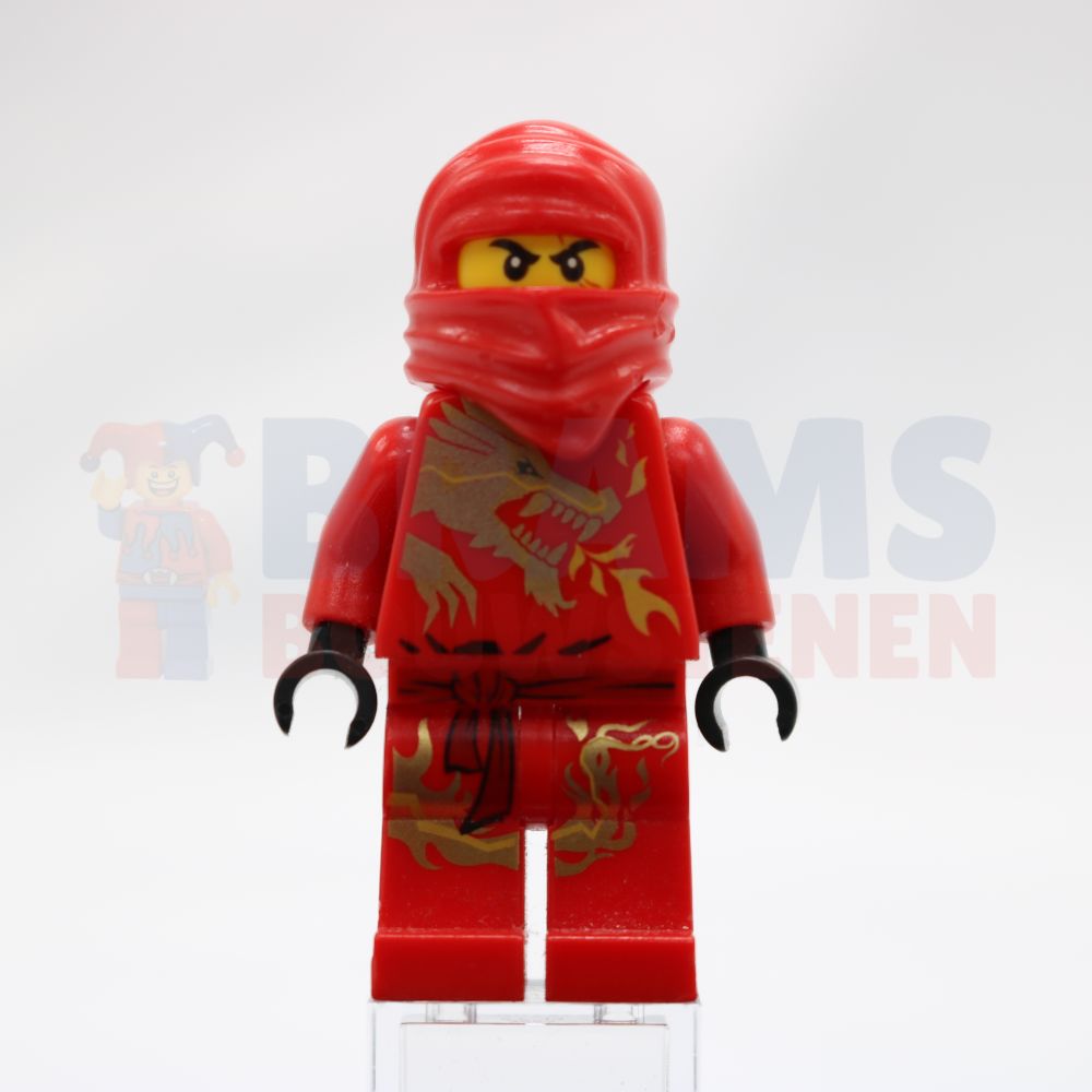 Minifig njo0009