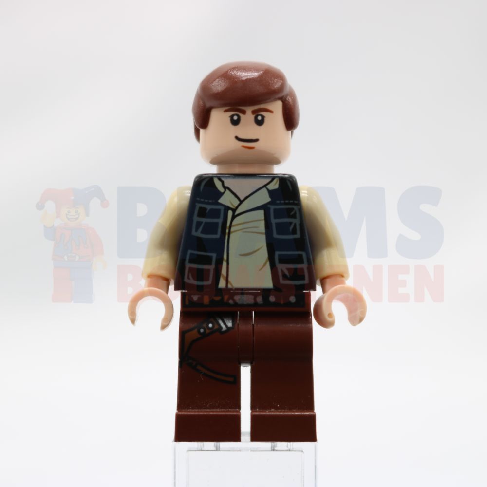 Minifig sw0451