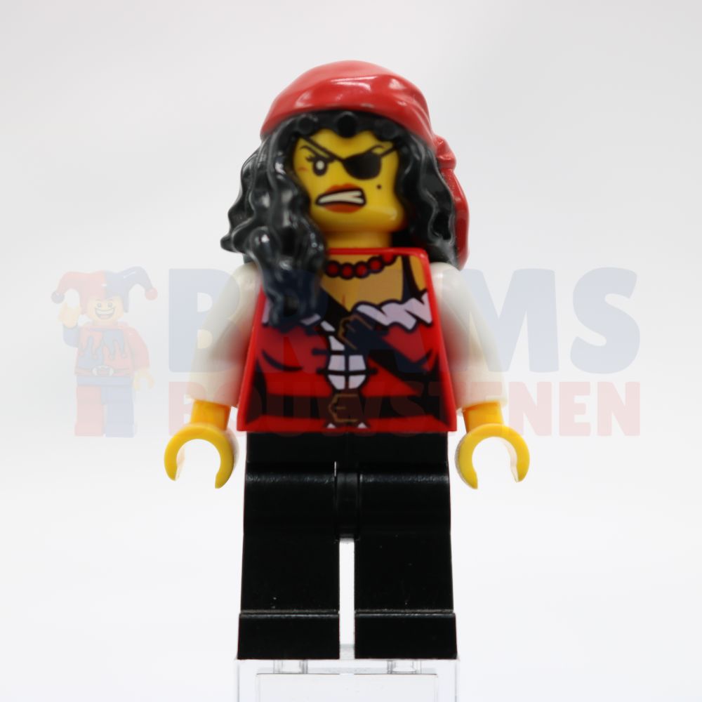 Minifig pi165
