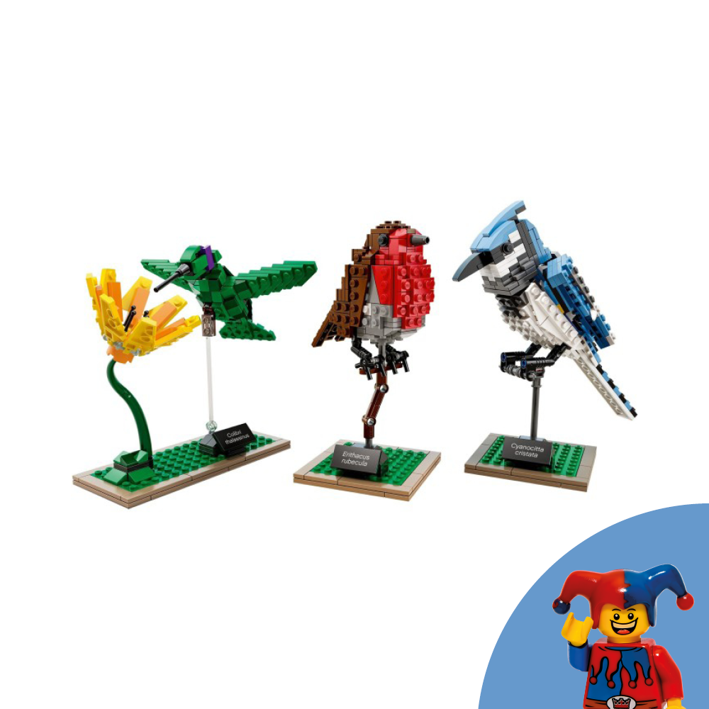 Set 21301 - Birds