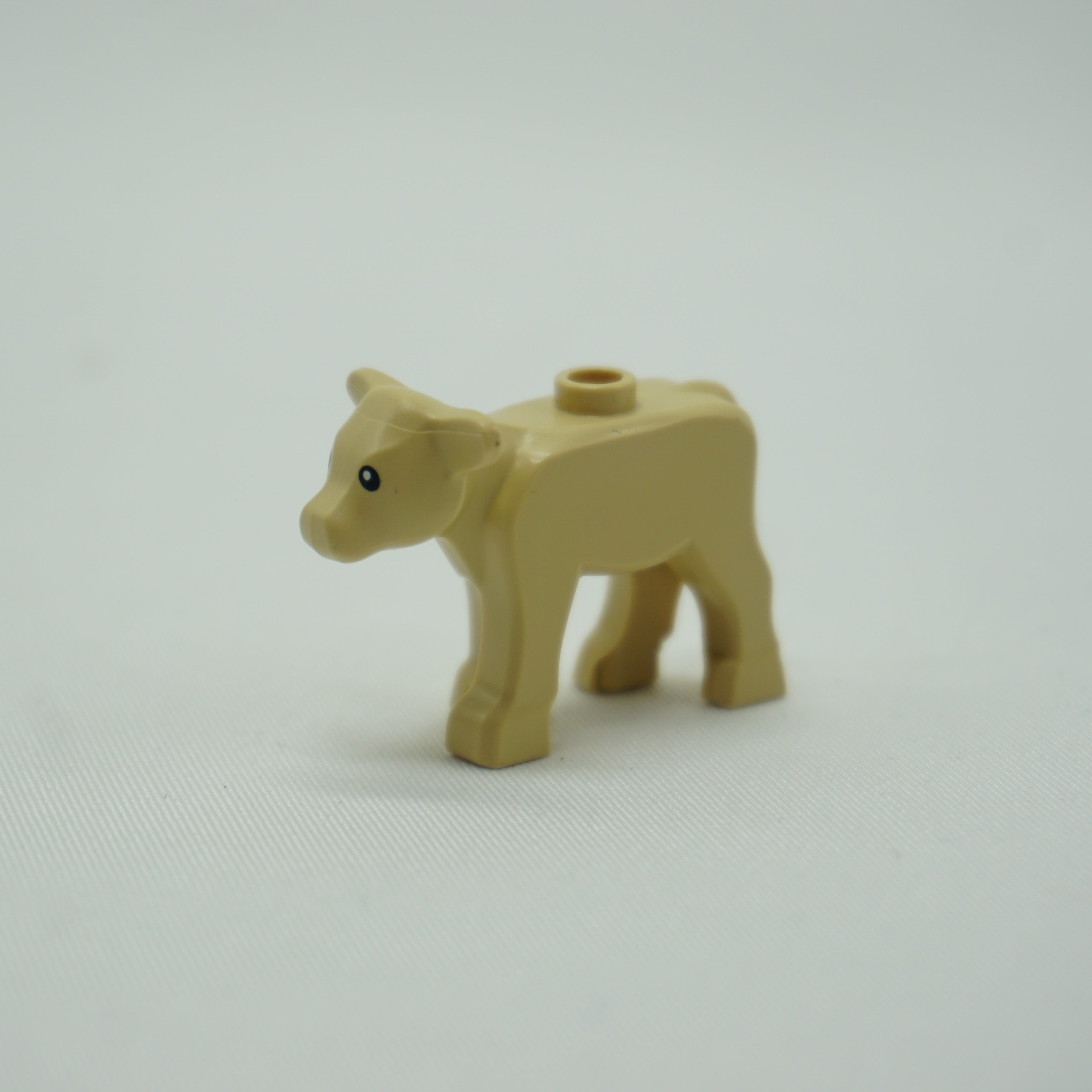 Part 1568pb01 - Calf with Black Eyes and White Pupils Pattern