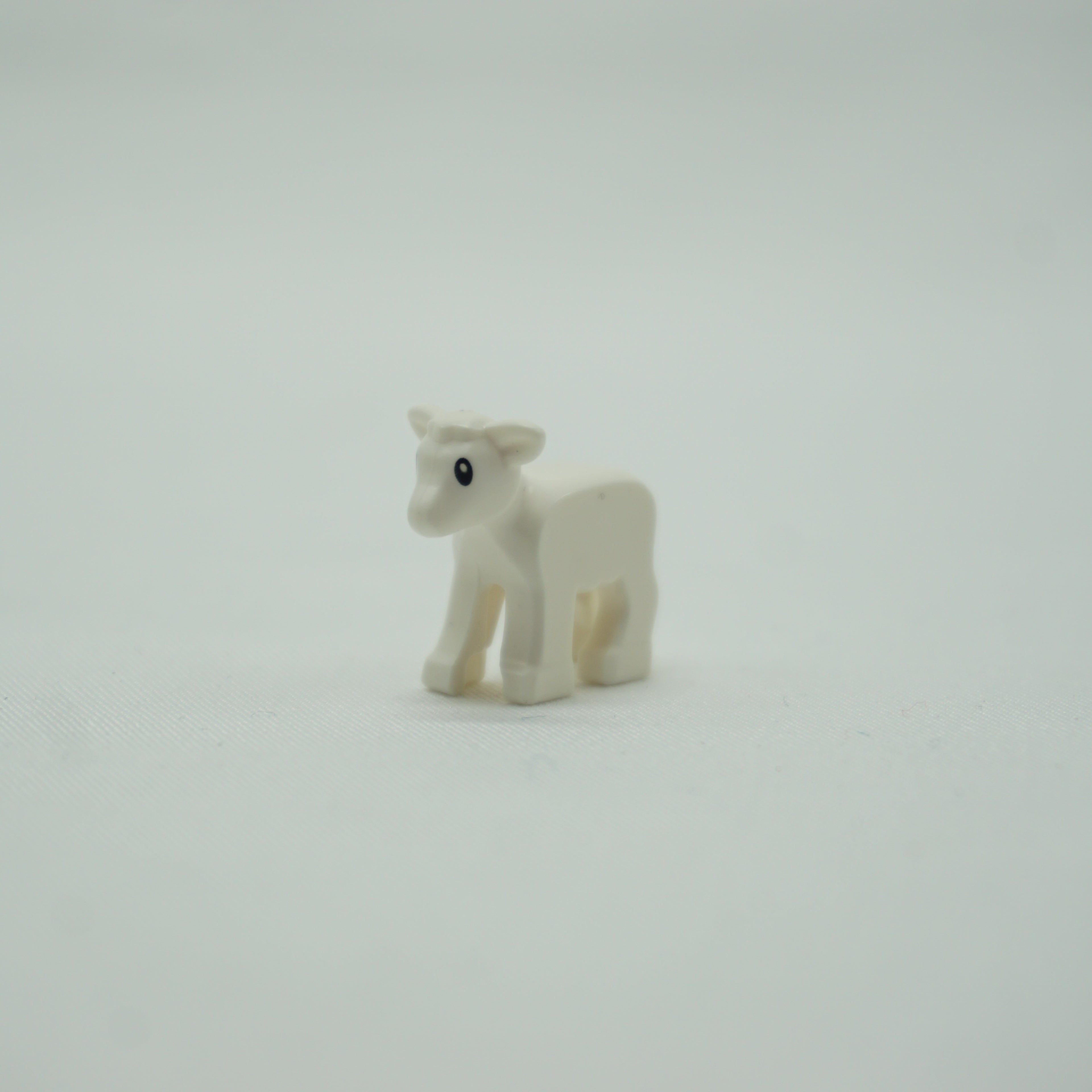 Part 1569pb01 - Lamb with Black Eyes and White Pupils Pattern