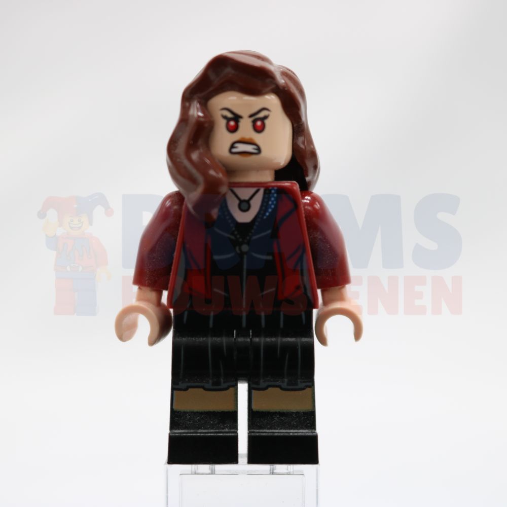 Minifig sh0174