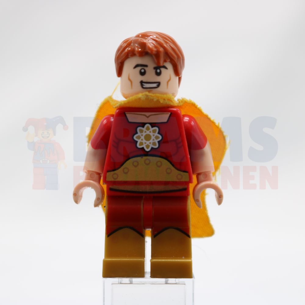 Minifig sh0227