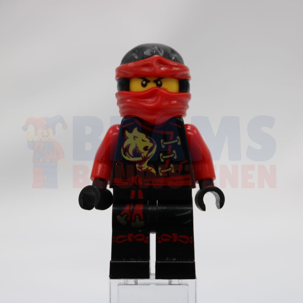 Minifig njo0198