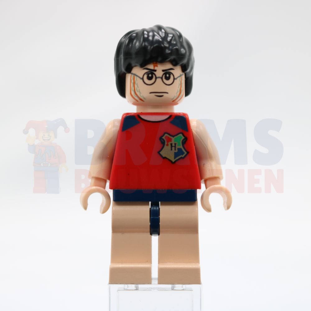 Minifig hp066