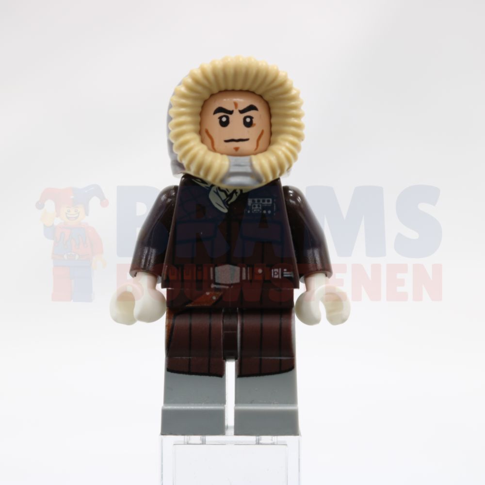 Minifig sw0709