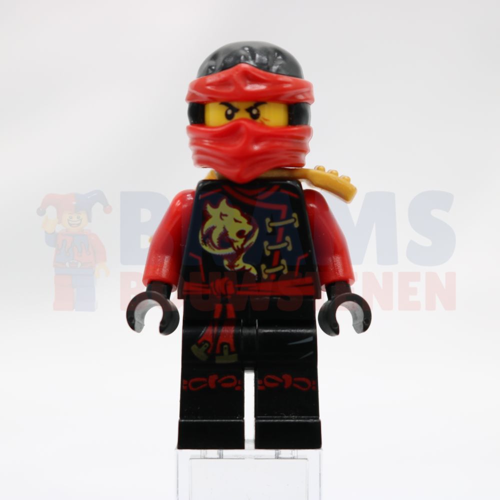 Minifig njo0194