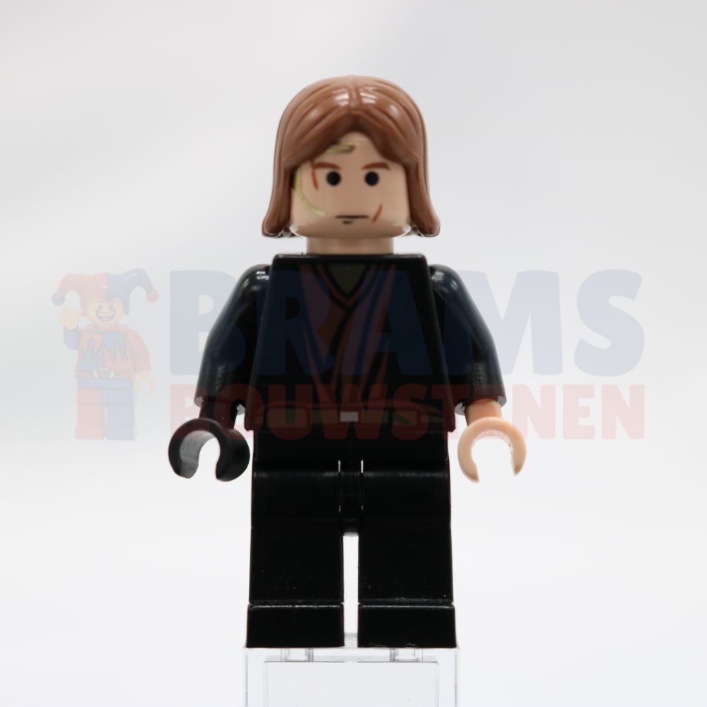 Minifig sw0120