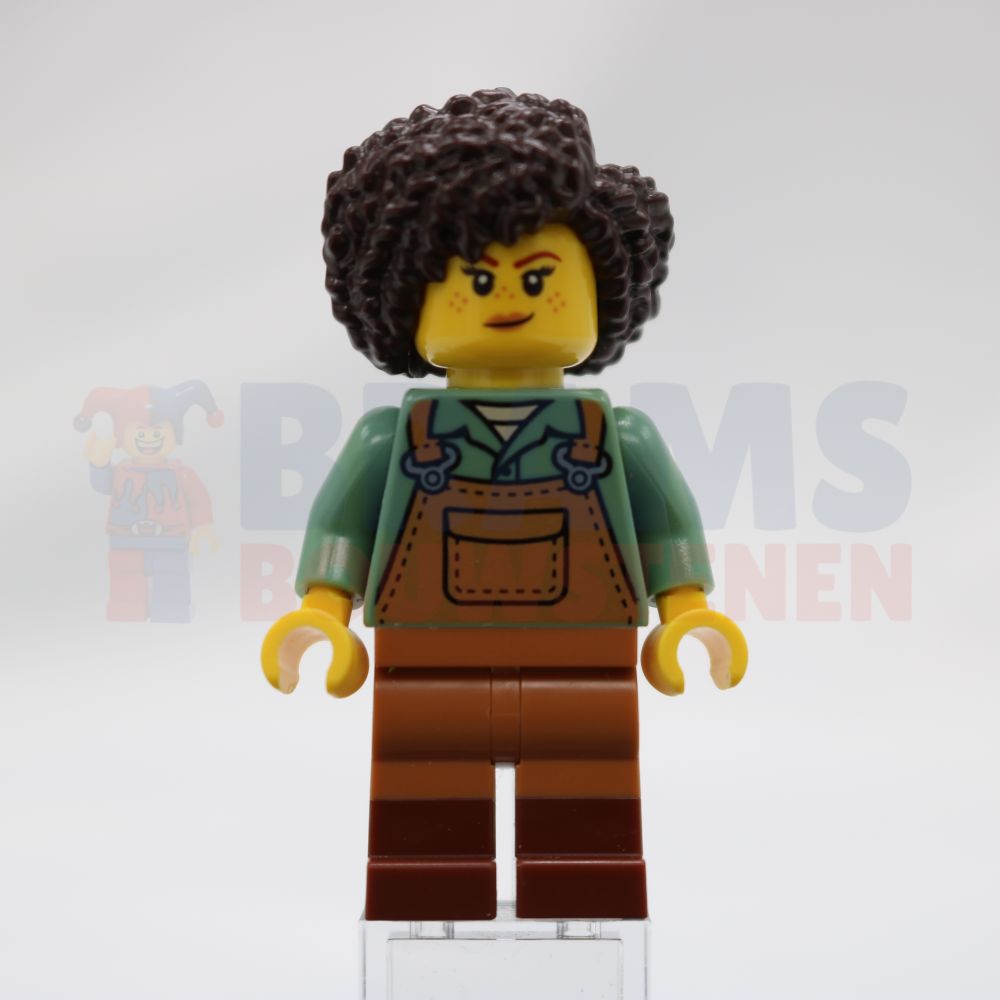 Minifig idea212